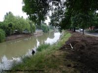 Imagine atasata: Bega - 2014.06.01 - 17.jpg